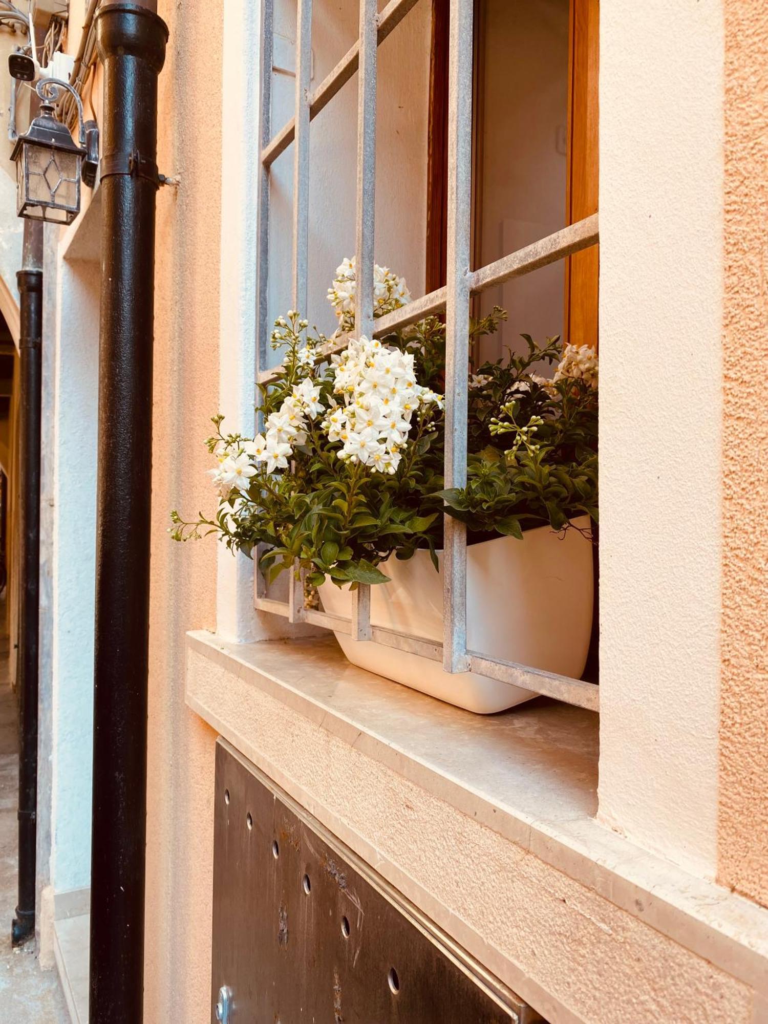 Casabella Chioggia Casa Indipendente Con Corte Exterior photo